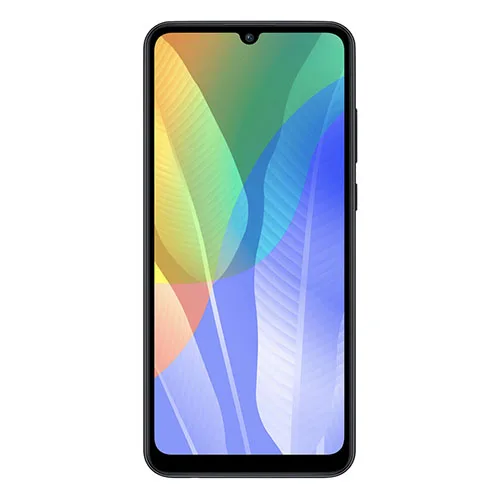 Y6P