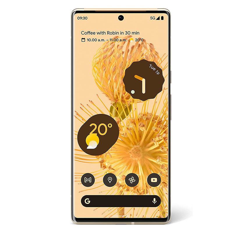 Pixel 6 Pro